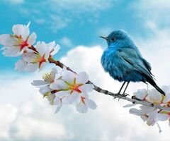 Test title of this ads